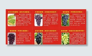 葡萄品种图片
