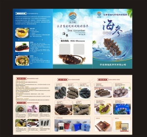 海参折页图片