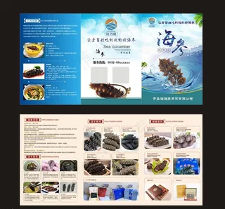海参折页图片