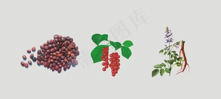 酸枣仁 丹参 五味子透明背景图片