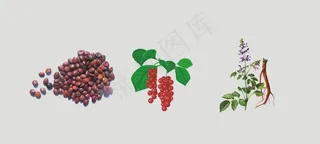酸枣仁 丹参 五味子透明背景图片