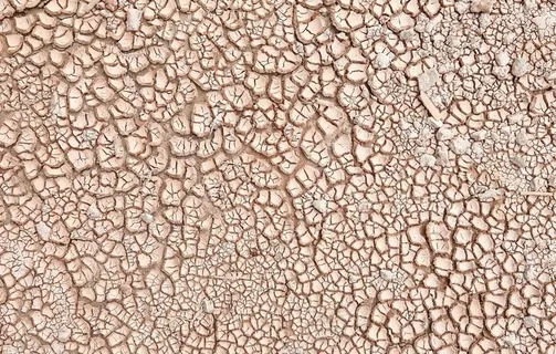 土地图片 土地图片