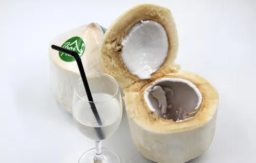 椰青图片 椰青图片