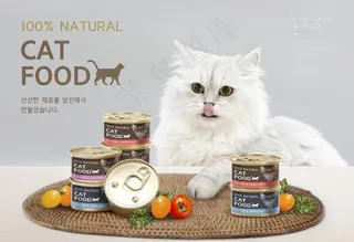 宠物 狗粮海报图片