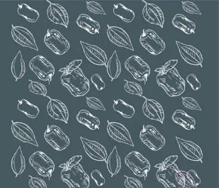 红枣叶子矢量图图片