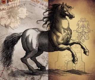 欧洲奔马素描海报图片