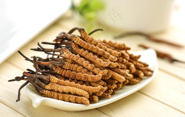冬虫夏草中药药材图片