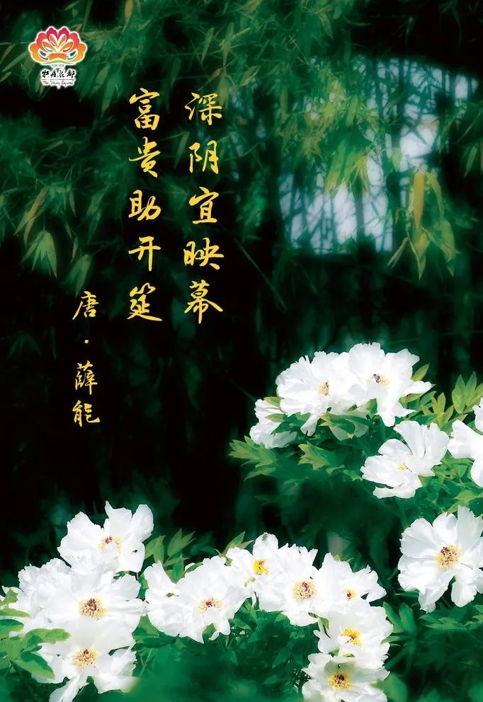 牡丹花都图片(1181X1772(DPI:300))psd模版下载