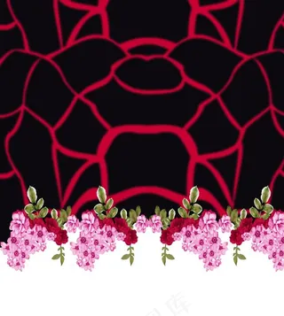 数码印花 热转印数码 印花图案图片