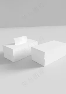 餐巾纸样机图片