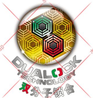 双分子锁合图片