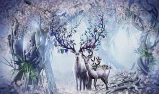 电商 外贸 海报 外国模特 服图片