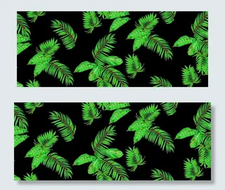 大牌  椰树图片