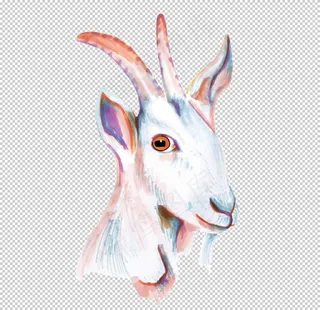 动物手绘山羊图片