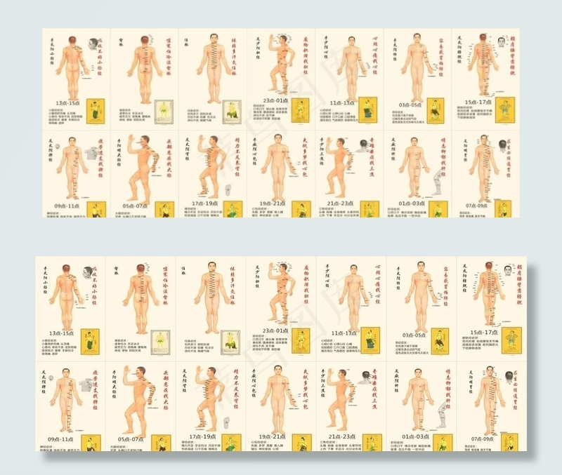 人体经络图图片