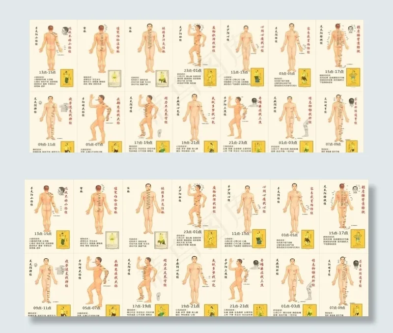 人体经络图图片