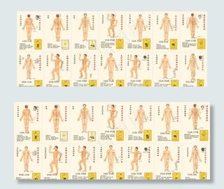 人体经络图图片