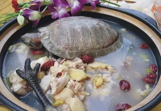 土鸡炖老龟图片