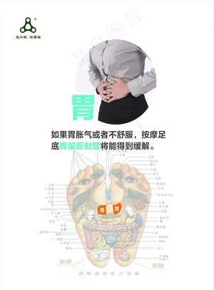足行健按摩鞋  胃  穴位图片