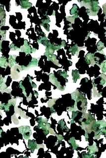 小花图片 小花图片