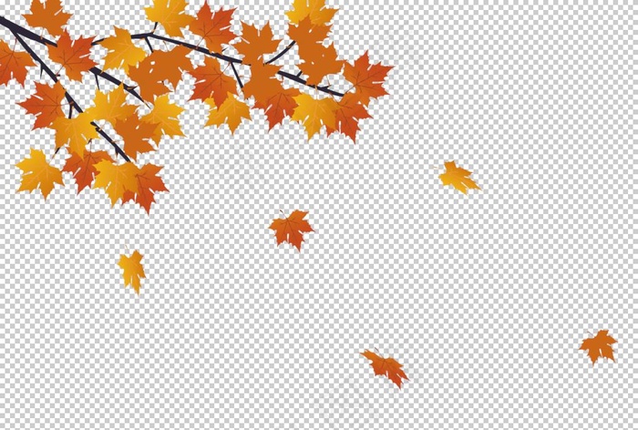 枫叶秋天装饰背景海报素材图片