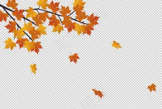 枫叶秋天装饰背景海报素材图片