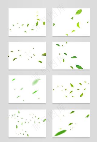 飘落的树叶图片