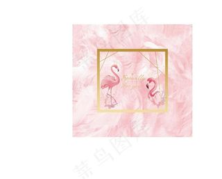 火烈鸟婚礼素材 背景羽毛图片