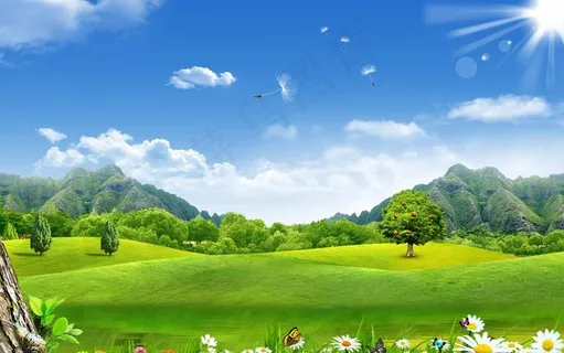 草地图片 草地图片