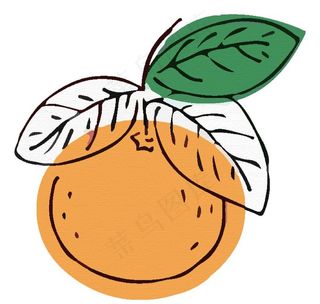 橙子图片
