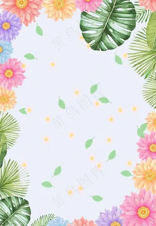 热带树叶背景图片