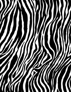 斑马纹图片