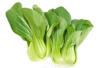 小白菜图片