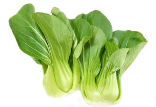 小白菜图片