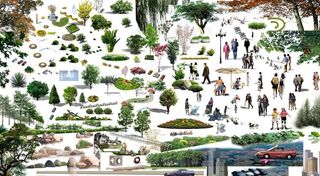 植物 素材 人 石头 景观图片