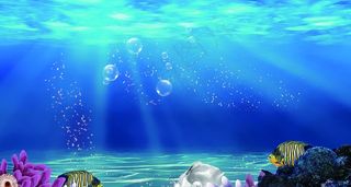 海底世界图片