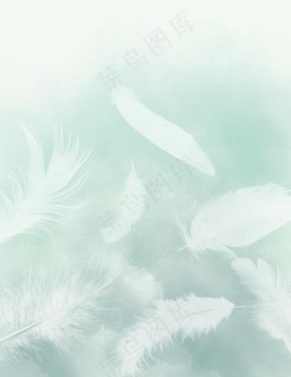 ins羽毛 时尚羽毛 时尚元素图片