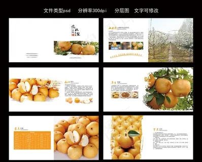高档 梨画册 psd分层图图片