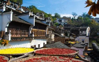 婺源图片