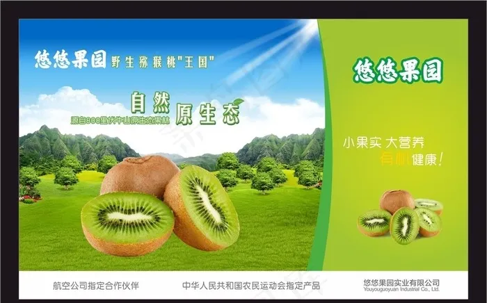 猕猴桃海报图片cdr矢量模版下载