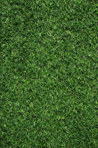 绿植墙 绿植背景图片