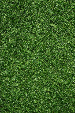 绿植墙 绿植背景图片