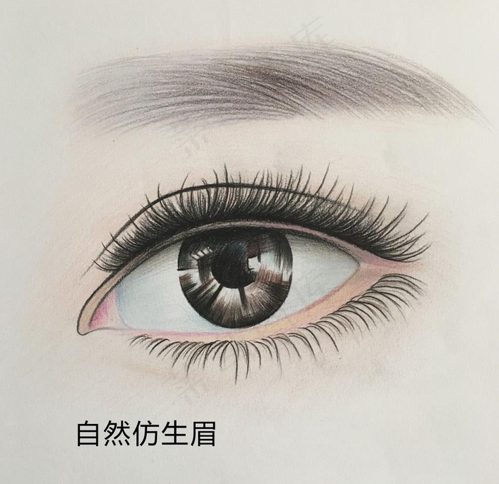 自然仿生眉图片