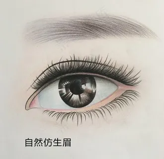 自然仿生眉图片 自然仿生眉图片