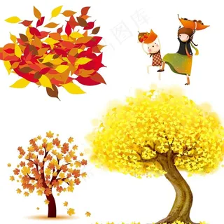 银杏树 枫树 树叶图片