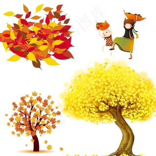 银杏树 枫树 树叶图片