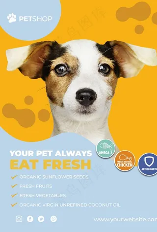 宠物店海报图片