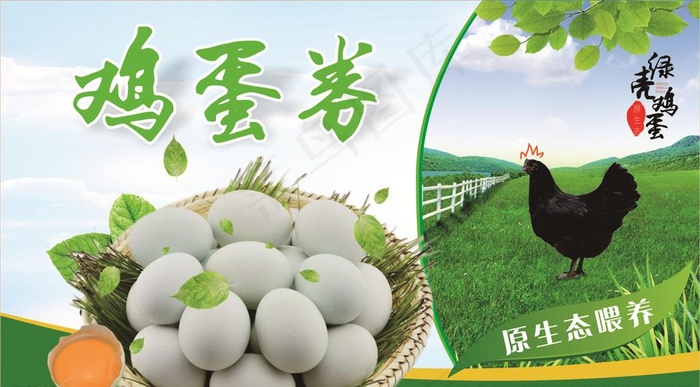 鸡蛋券图片