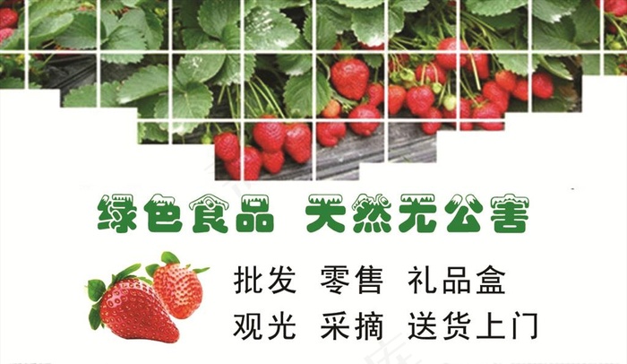 绿色食品  草莓  名片图片