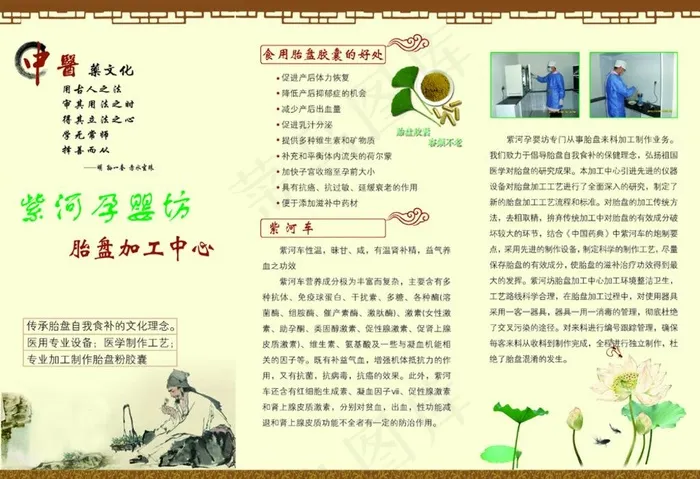胎盘加工胶囊图片psd模版下载